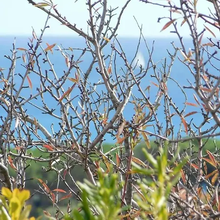 Apartment Panoramic , 600m From The Beach, Cala Liberotto